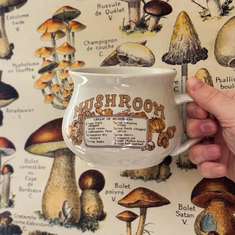 🍄‍🟫 Vintage Mushroom Themed Ceramic Mug